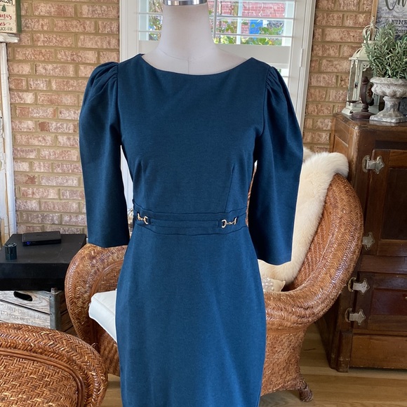 ANN TAYLOR PETITE BIT EQUESTRIAN HORSES 3/4 SLEEVE DRESS 6 P NEW - Picture 3 of 11